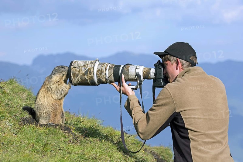 Wildlife photographer taking pictures of tame Alpine marmot (Marmota marmota) with long telephoto lens in summer in the Alps | MR:yes Mats-Lasse-Kobbe
