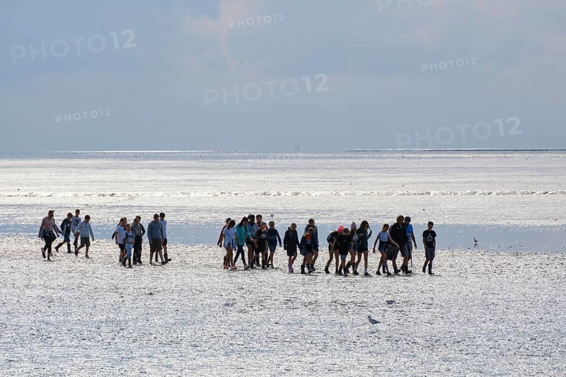 A group of pupils on a mudflat hike in the Wadden Sea National Park, low tide, Norddeich, Norden, East Frisia, Lower Saxony, Germany, Europe
