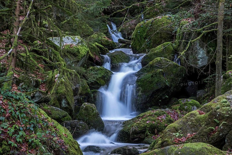 Gertelbach, Gertelbach Waterfalls, Gertelbach Falls, Gertelbach Gorge, Bühl, Bühlertal, Northern Black Forest, Black Forest, Baden-Württemberg, Germany, Europe