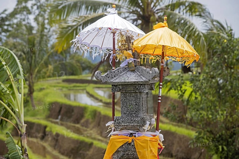 Little Hindu altar, sanggah in the Jatiluwih terraced paddy fields, rice terraces in the highlands of West Bali, Indonesia, Asia