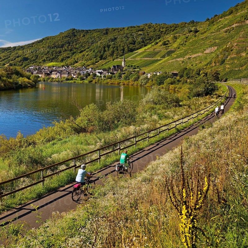 Cyclists on the Moselle cycle path with a view of the village of Bremm, Rhineland-Palatinate, Germany, Europe