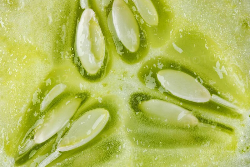 Macro photo of a cut open cucumber (Cucumis sativus)