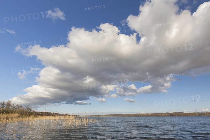 Lake Ratzeburg, Ratzeburger See at Lauenburg Lakes Nature Park, Naturpark Lauenburgische Seen, Schleswig-Holstein, Germany, Europe