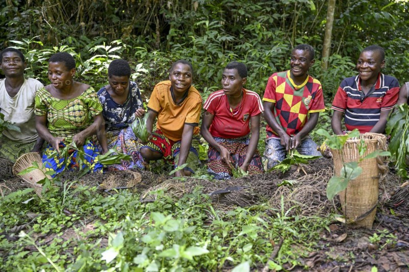 Pygmies of the Baka or BaAka people swear to hunt, hunting magic, net hunting, Dzanga-Sangha Special Dense Forest Reserve, Sangha-Mbaéré Prefecture, Central African Republic, Africa