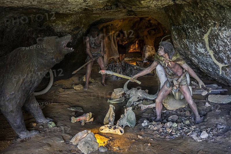 Diorama showing Neanderthal men defending cave against cave bear (Ursus spelaeus) at La Roque Saint-Christophe, Peyzac-le-Moustier, Dordogne, France, Europe