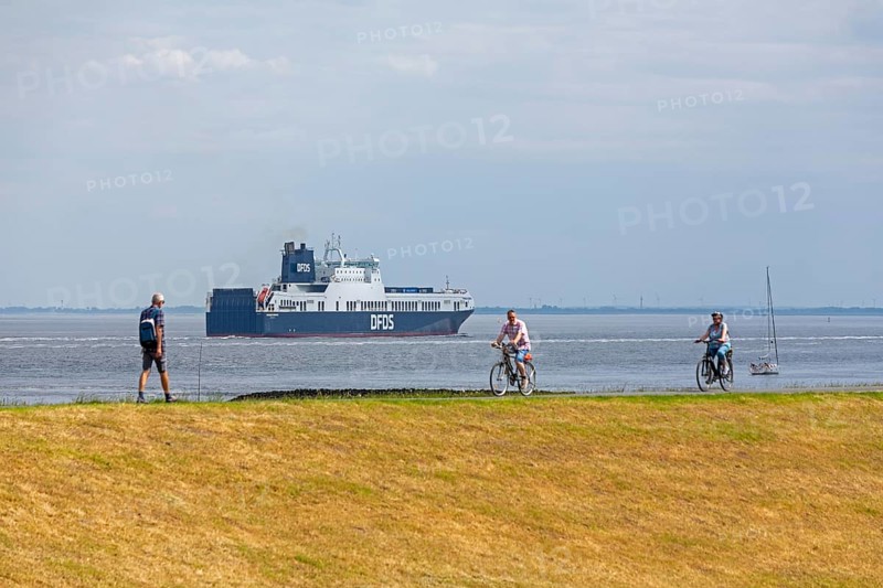 People, cyclist, ship, ferry, Elbe cycle path, Elbe, Cuxhaven, Lower Saxony, Germany, Europe