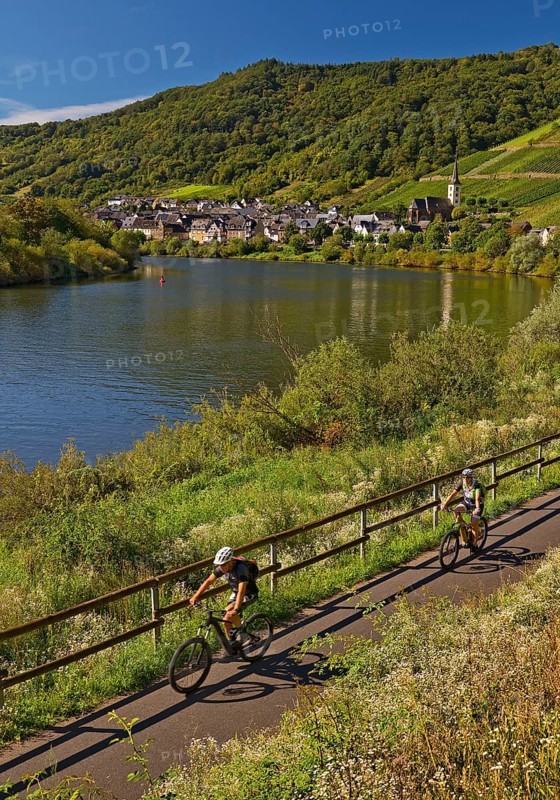 Cyclists on the Moselle cycle path with a view of the village of Bremm, Rhineland-Palatinate, Germany, Europe