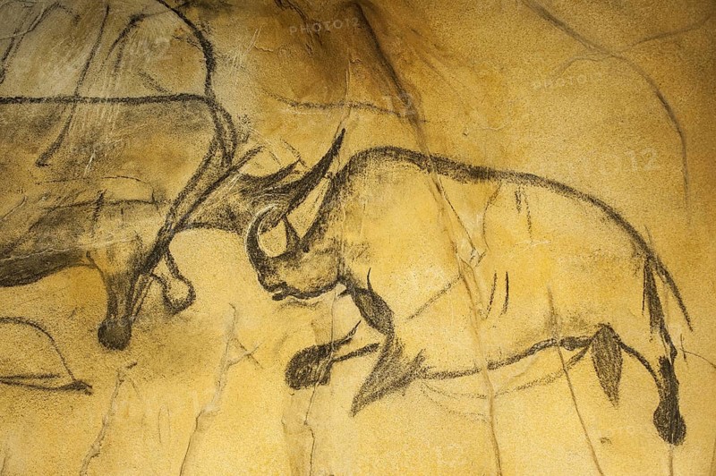 Replica of prehistoric rock painting of the Chauvet Cave, Chauvet-Pont-d'Arc Cave in the Ardèche, France, showing woolly rhinoceroses (Coelodonta antiquitatis), Europe
