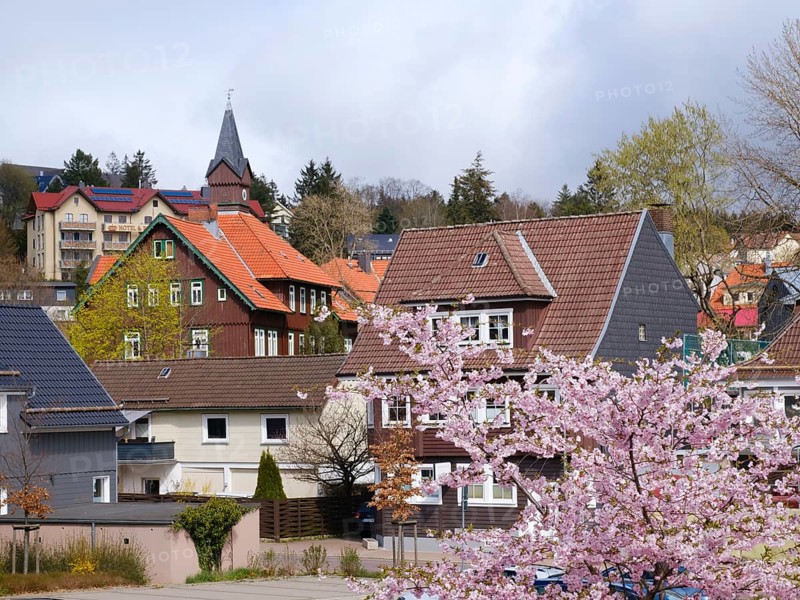 Village view, Braunlage, Harz, Lower Saxony, Germany, Europe
