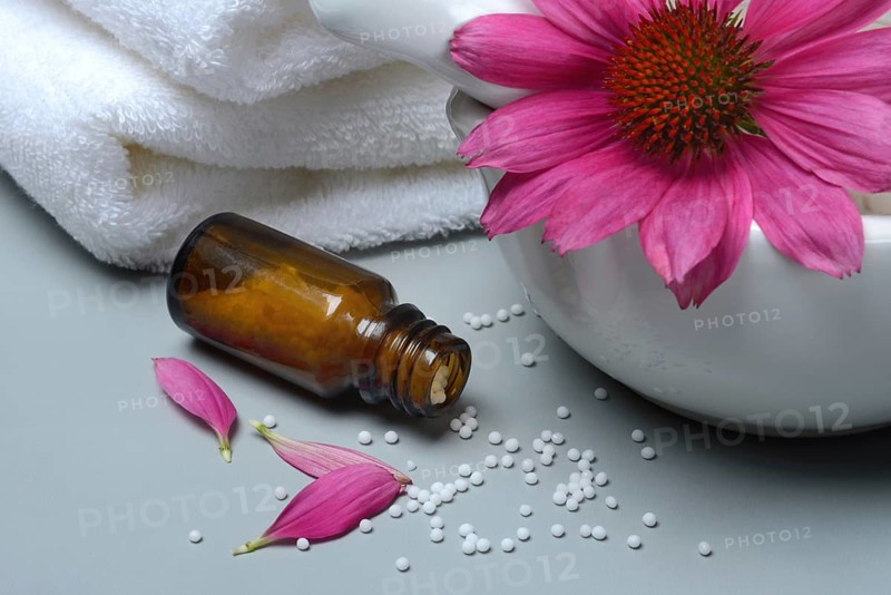 Globules, scattering globules and coneflower (echinacea)