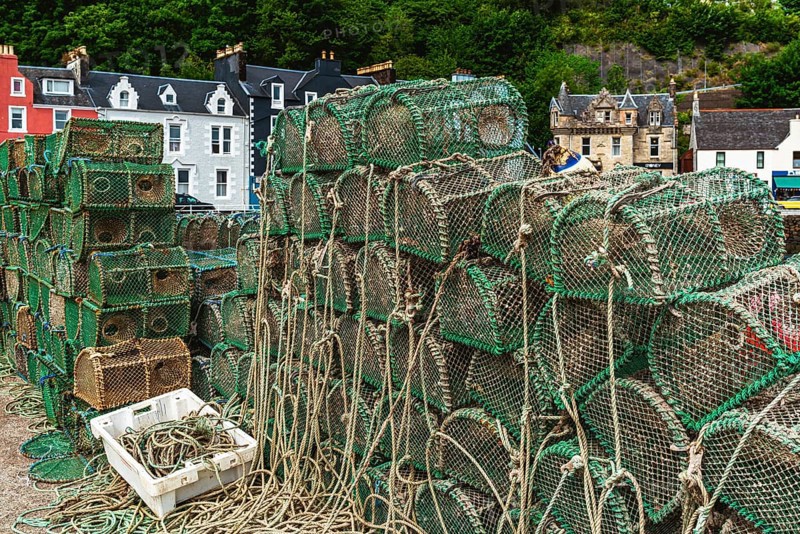 Tobermory, Isle of Mull, Scottish Inner Hebrides, Scotland, UK
