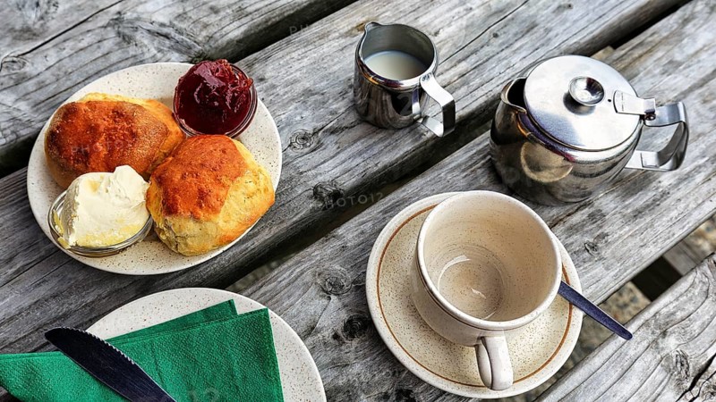 Cornish cream tea in the garden café, speciality, typical afternoon meal, scones, clotted cream, strawberry jam, tea with milk, Cornwall, South England, England, Great Britain