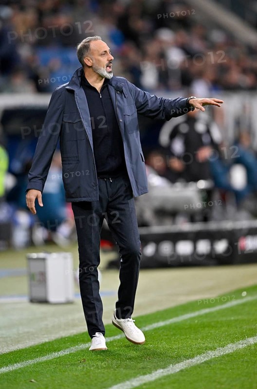 Coach Pellegrino Matarazzo, TSG 1899 Hoffenheim, Gesture, Gesture, PreZero Arena, Sinsheim, Baden-Württemberg, Germany, Europe