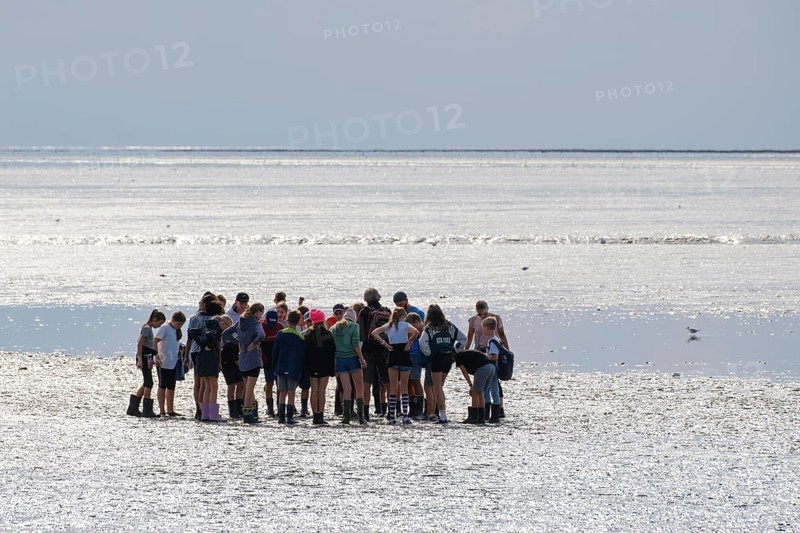 A group of pupils on a mudflat hike in the Wadden Sea National Park, low tide, Norddeich, Norden, East Frisia, Lower Saxony, Germany, Europe