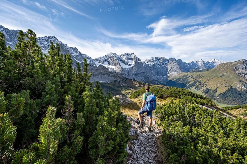 Mountaineer on a hiking trail with mountain pines, mountain panorama with rocky steep peaks, view of summit Laliderspitze, Dreizinkenspitze and Spritzkarspitze, hike to the summit of Hahnkampl, Engtal, Karwendel, Tyrol, Austria, Europe