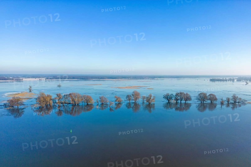 Aerial view, drone photo: Flood, flooded meadows in the floodplains along the river Oder, GroÃŸ Neuendorf, Oderbruch, Brandenburg, Germany, Europe