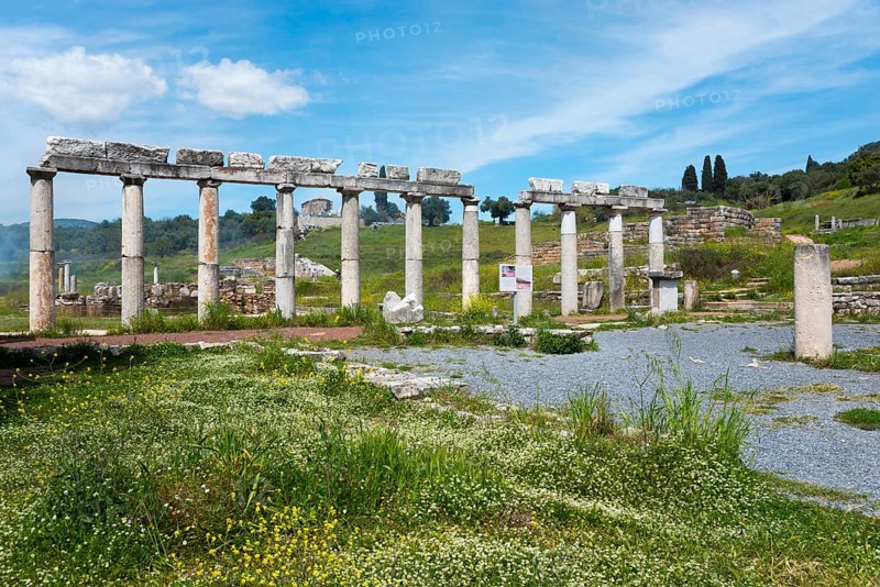 Ancient column ruins surrounded by wild flowers under a blue sky, Messene, ancient Greek polis, Messini, Messenia, Peloponnese, Greece, Europe