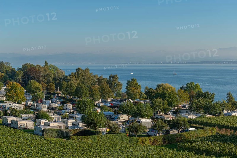 Campsite, caravan, blue sky, vineyards, Hagnau am Lake Constance, Baden-Württemberg, Germany, Europe