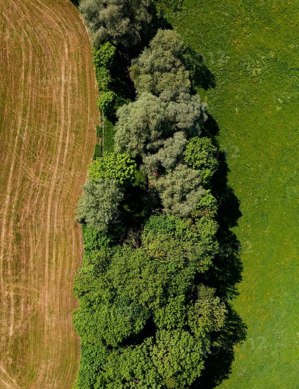 Drone image, deciduous forest, group of trees with meadow, from above, structure, agricultural landscape, Oberhofen, Hausruckviertel, Upper Austria, Austria, Europe