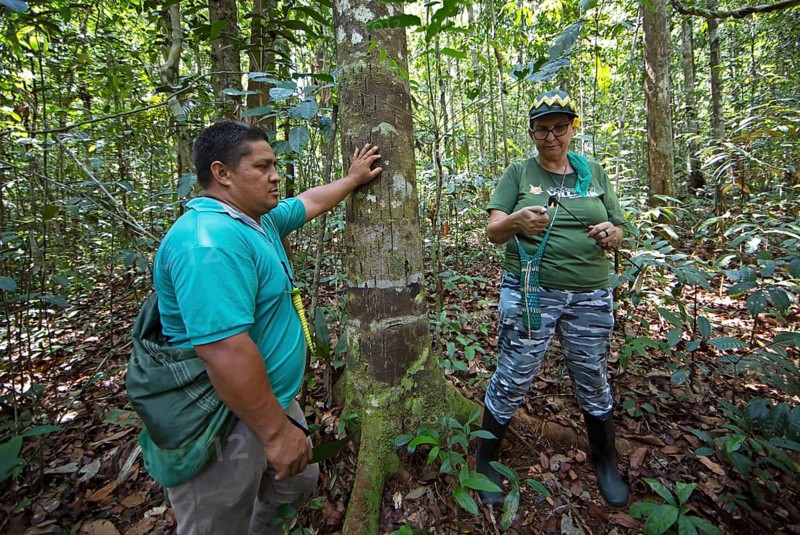 Jungle guides set fire to natural wax in the Amazon rainforest, Manaus, Amazonas state, Brazil, South America