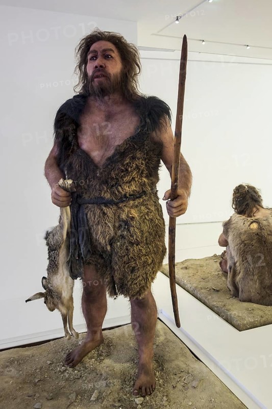 Diorama of Neanderthal man at the Pôle International de la Préhistoire, Les Eyzies-de-Tayac-Sireuil, Les Eyzies de Tayac, Dordogne, France, Europe