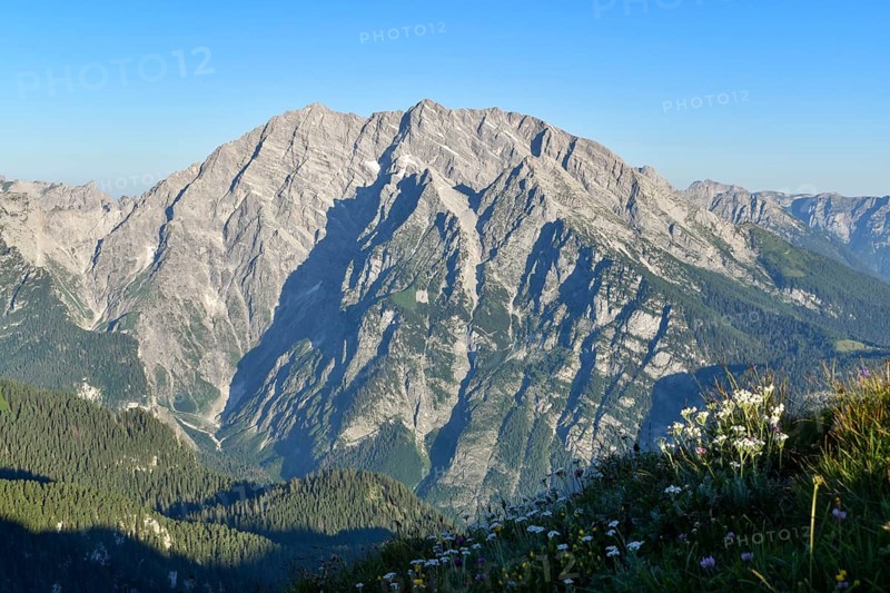 The Watzmann with its east face in the morning light, Berchtesgaden National Park, Bavaria, Germany, Europe