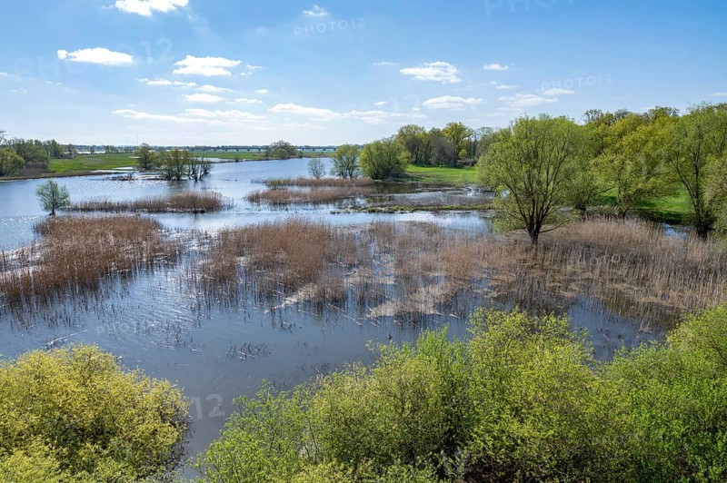 Elbe meadows, floodplain landscape, UNESCO Biosphere Reserve River Landscape ELBE, Mecklenburg-Western Pomerania, Germany, Europe