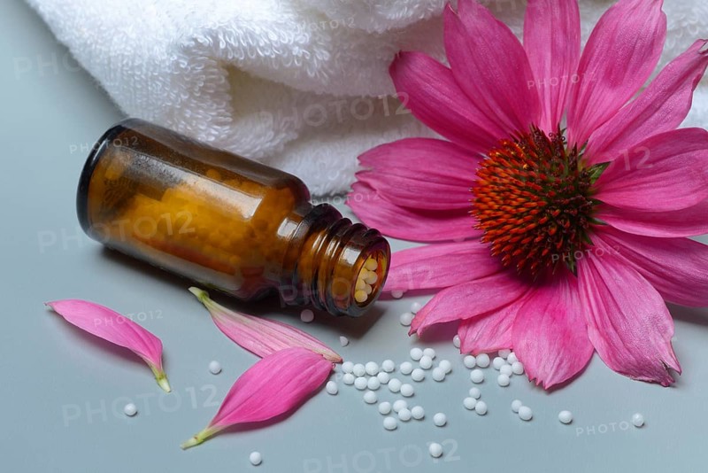 Globules, scattering globules and coneflower (echinacea)