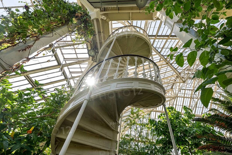 Cast-iron spiral staircase, Temperate House, largest Victorian greenhouse in the world, Royal Botanic Gardens (Kew Gardens), UNESCO World Heritage Site, Kew, Greater London, England, United Kingdom, Europe