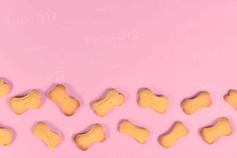 Bone shaped dog biscuits at bottom of pink background with empty copy space