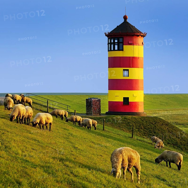 Pilsum lighthouse with sheep on the dike, Pilsum, Krummhörn, East Frisia, Lower Saxony, North Sea, Germany, Europe