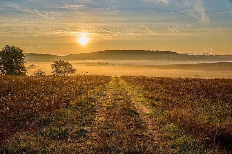 Landscape, country lane, fields, fog, sunrise, Höhefeld, Wertheim, Baden-Württemberg, Germany, Europe