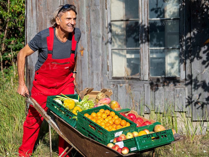 Man with red work trousers pushing wheelbarrow full of different fruits in front of old shed, healthy eating, Germany, Europe