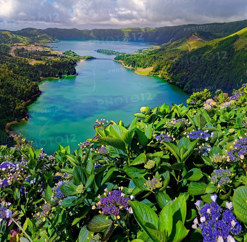 Breathtaking view of the crater lakes Lagoa Verde and Lagoa Azul with blooming hydrangeas in the foreground, crater circular hiking trail, Caldeira das Sete Cidades, Miradouro da Vista do Rei, Lagoa Verde, Lagoa Azul, Sao Miguel, Portugal, Europe