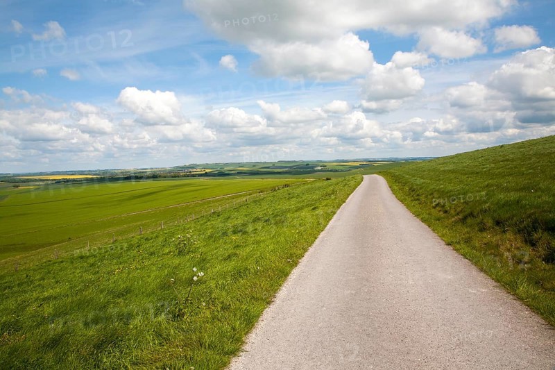 Small narrow lane on chalk downland, Allington Down, Wiltshire, England, United Kingdom, Europe