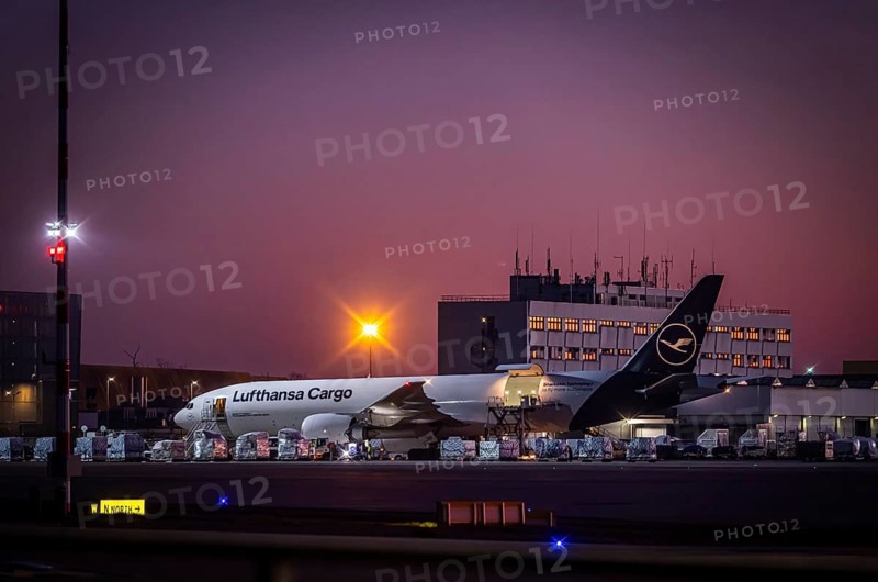 Lufthansa Cargo aircraft being loaded at the cargo centre, early in the morning at the airport in front of sunrise, Fraport, Frankfurt am Main, Hesse, Germany, Europe