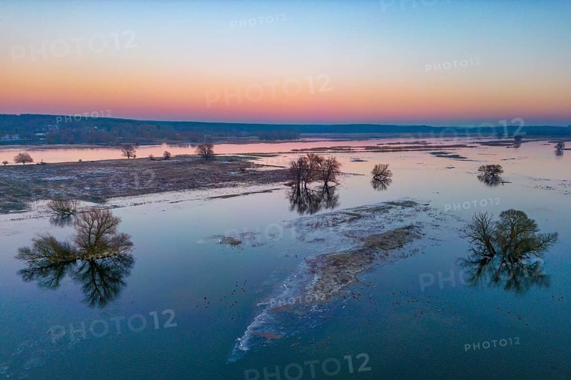 Aerial view, drone photo: Winter floods, trees and flooded meadows in the floodplains along the river Oder, Güstebieser Loose, Oderbruch, Brandenburg, Germany, Europe
