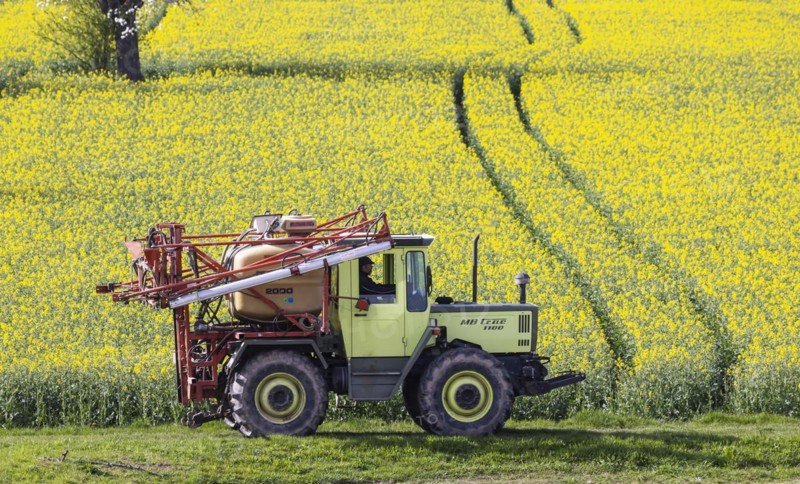 Agriculture in spring, MB-trac tractor with crop protection sprayer in front of a rape field in bloom, Rastatt, Baden-Württemberg, Germany, Europe