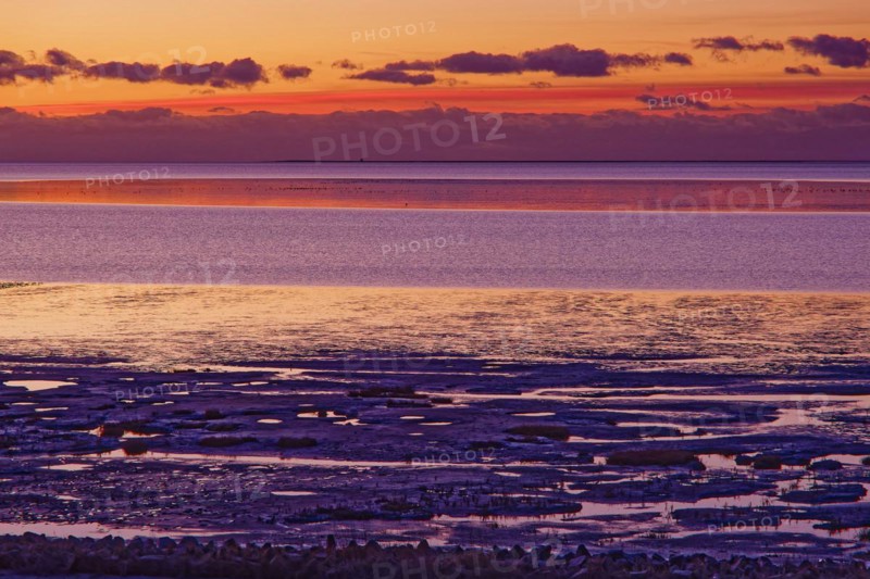 Evening tidal flat landscape shortly after sunset at low tide in the Wadden Sea National Park. UNESCO World Heritage Site, Friedrichskoog, Schleswig-Holstein, Germany, Europe