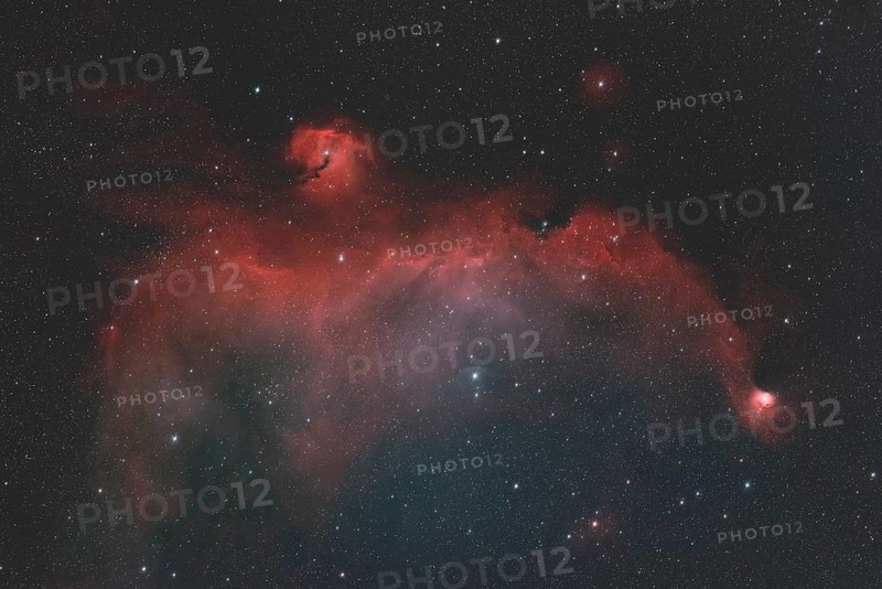 IC2177, NGC2235, NGC2327, Seagull Nebula, foggy landscape with hydrogen h alpha is located on the border to Canis Major in the constellation Monoceros