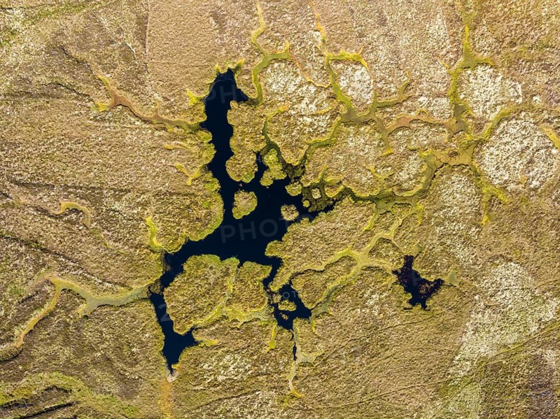 Aerial view of a marshland on the north-east coast of Scotland, County Caithness, Scotland, Great Britain