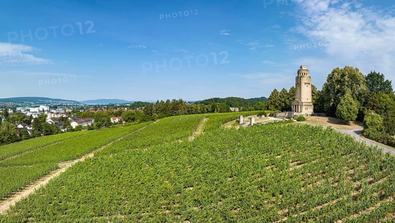 Aerial panorama of the Bismarck Tower on the Raiteberg in the northern part of the city of Constance, viticulture at Lake Constance, Constance County, Baden-Württemberg, Germany, Europe