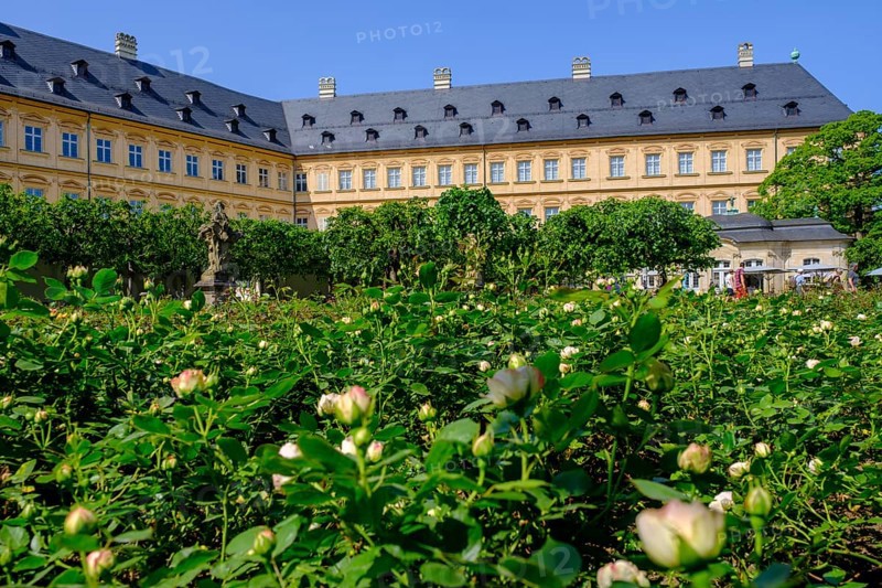 Rose Garden, New Residence, Domberg, Bamberg, Upper Franconia, Bavaria, Germany, Europe