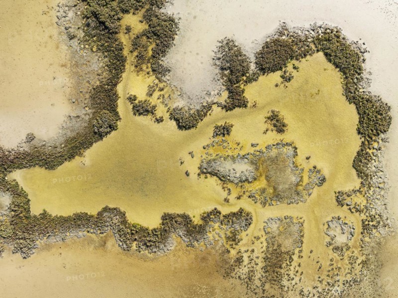 Marshland at low tide. Nature Reserve La Brena y Marismas del Barbate. Aerial view. Drone shot. Cadiz province, Andalusia, Spain, Europe