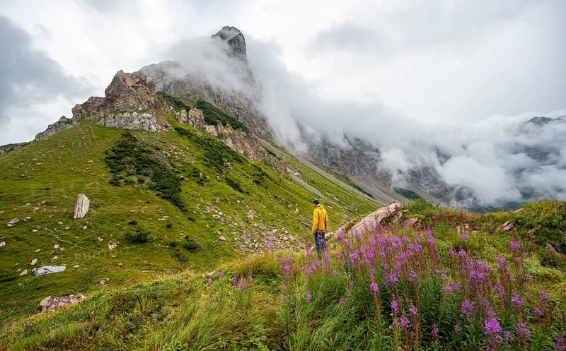 Green meadows and pink flowers in a cloudy mountain landscape, mountaineer with yellow jacket, Wolayerseehütte, Carnic Alps, Carnic High Trail, Carinthia, Austria, Europe