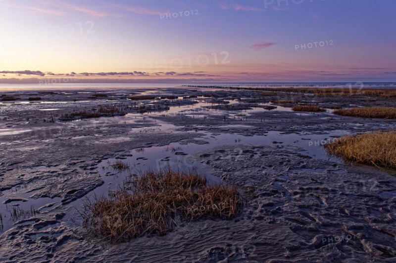 Evening tidal flat landscape shortly after sunset at low tide in the Wadden Sea National Park. UNESCO World Heritage Site, Friedrichskoog, Schleswig-Holstein, Germany, Europe