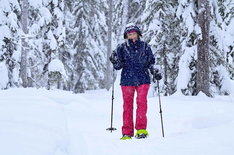 Woman trudging through snowy forest on snowshoes, Lapland, Finland, Europe