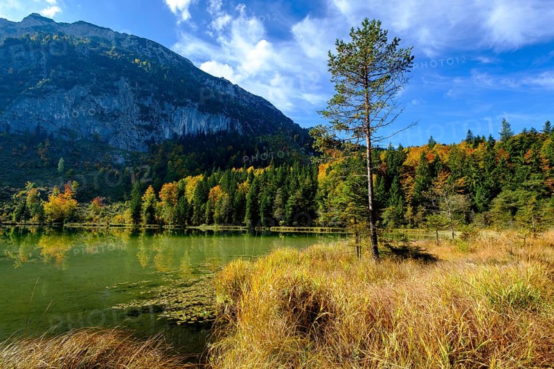 Frillensee near Inzell, Chiemgau, Upper Bavaria, Bavaria, Germany, Europe