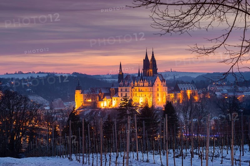 View from the Proschwitz Winery of Meissen Castle Hill with Albrechtsburg Castle, Bishop's Palace and Cathedral