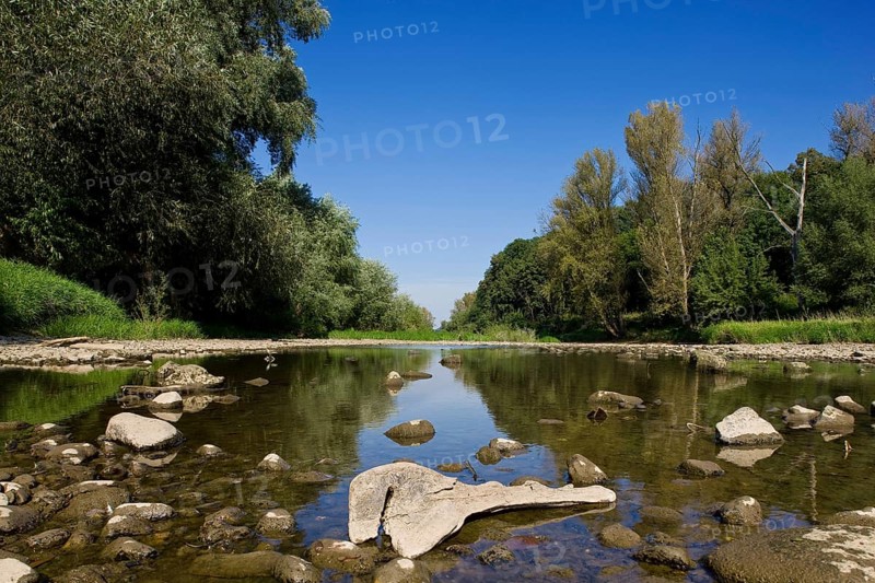 Elbe meadows between Kleinzschachwitz and Pillnitz
